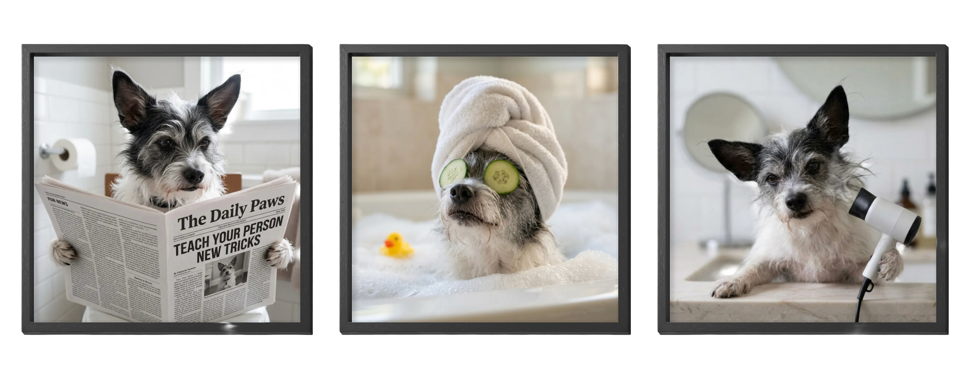 Submit Your Dog